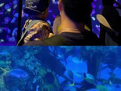 -珠海长隆海洋王国