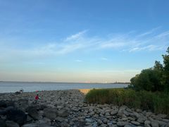 -上海吴淞炮台湾国家湿地公园
