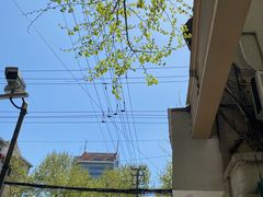 -复旦大学附属华山医院(总院)