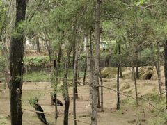 -青藏高原野生动物园