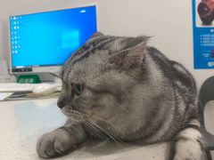 -佳雯宠物医院·皮肤科·内外科(春晓路分院)