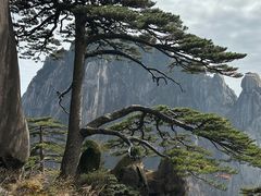 -黄山风景区