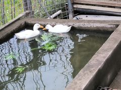 -栖露营camping·天幕烧烤·团建拓展·采摘营地