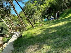 -广州白江湖森林公园