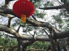 -鞍山岫岩沟汤温泉