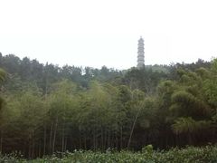 -巢湖姥山岛