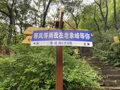 -老象峰