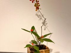 -西武百货(池袋总店)