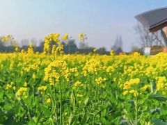 -中国天府农业博览园