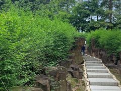 -上海鲜花港