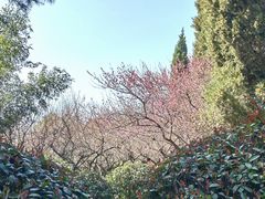 -白塘生态植物园
