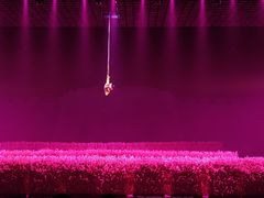 -芜湖方特东方神画