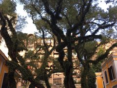 -ALBERGUE 1601 婆仔屋葡国餐厅