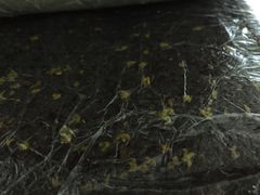 -一品方糕专卖店