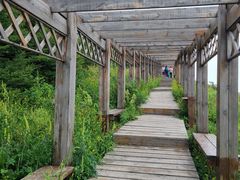 -白草畔自然风景区