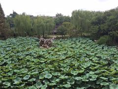 -乌镇望津里精品酒店