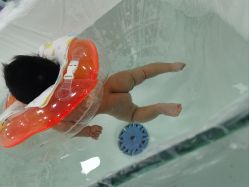 -鱼乐贝贝婴幼儿水育馆(高桥红坊店)