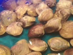 -SEA西雅图海鲜自助餐厅(海乐世界店)