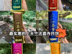 -杭州上天竺法喜讲寺