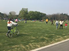 -昆山城市生态森林公园