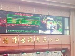 -回声星球·团建策划·赛事承办·拓展培训(大钟寺店)