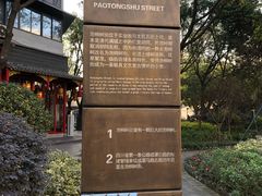 -泡桐树街