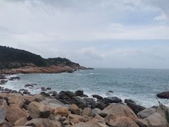 -广东惠东海龟国家级自然保护区
