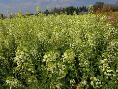 -中国天府农业博览园