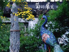 -杭州植物园