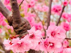 -海棠花溪(元大都城垣遗址公园)