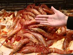 -大东方海鲜酒楼(小武基桥店)