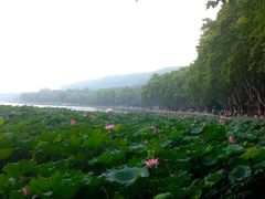-杭州西湖风景名胜区-北街寻梦