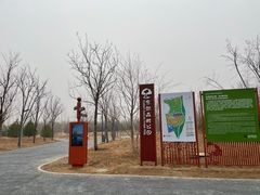 -东郊湿地公园