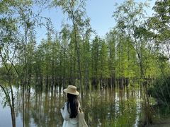 -白鹭湾湿地公园