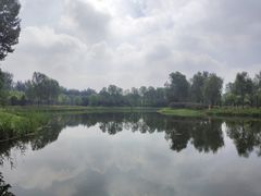 -东郊湿地公园
