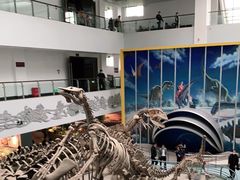 -中国地质大学逸夫博物馆