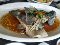 -粤味轩快餐店(天下第一泉店)