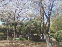 -堤角公园