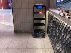 -阿五黄河大鲤鱼(海尚店)