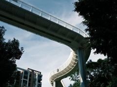 -金鸡山公园