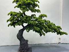 -西北轻工批发市场