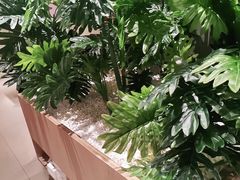 -卡朋西餐(悦汇城店)