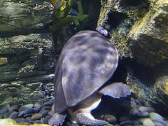 -欢乐海岸海洋奇梦馆
