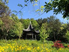 -龙寺生态园