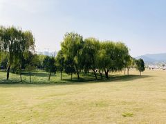 -杭州半山国家森林公园