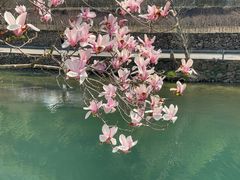 -鹿亭中村