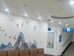 -上海仁爱医院