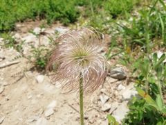 -北京鹫峰国家森林公园