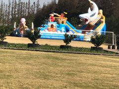 -前小桔亲子创意农场·草莓采摘·露营烧烤