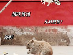 -天坛公园